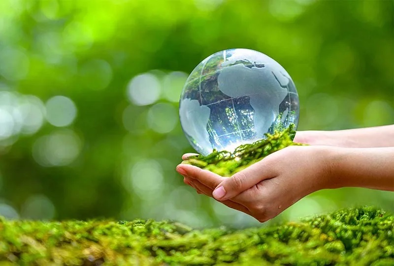 10 hành động ý nghĩa giúp bảo vệ môi trường
