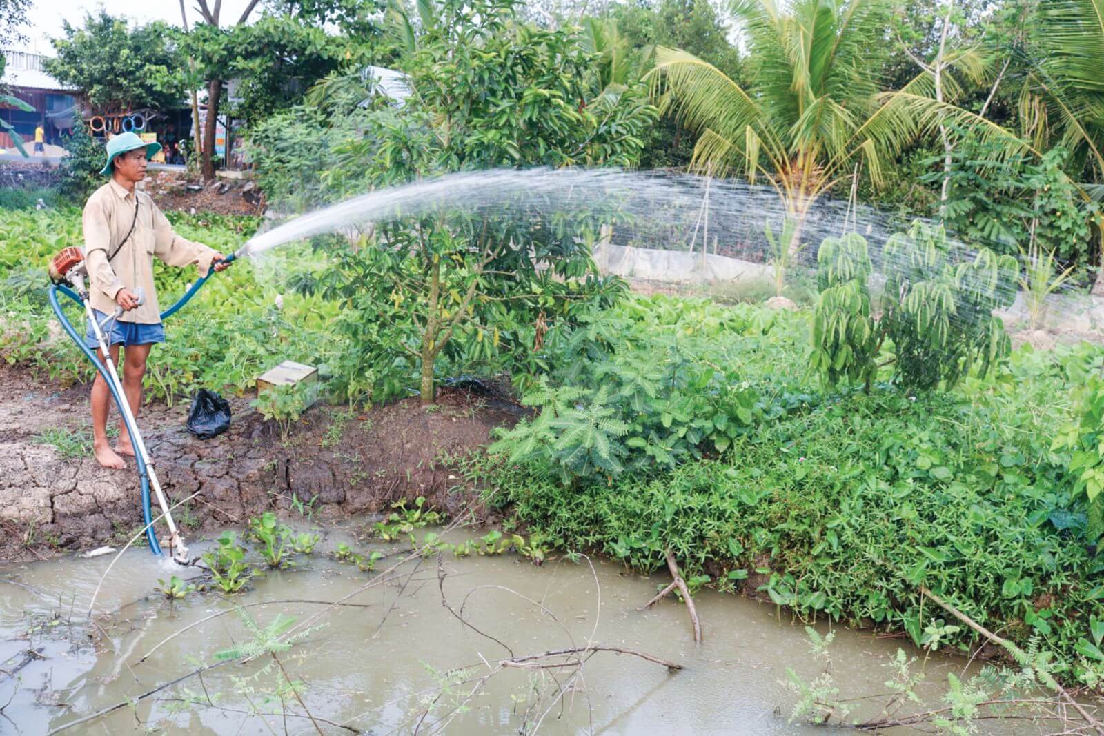 Treated domestic wastewater can be used for irrigation.