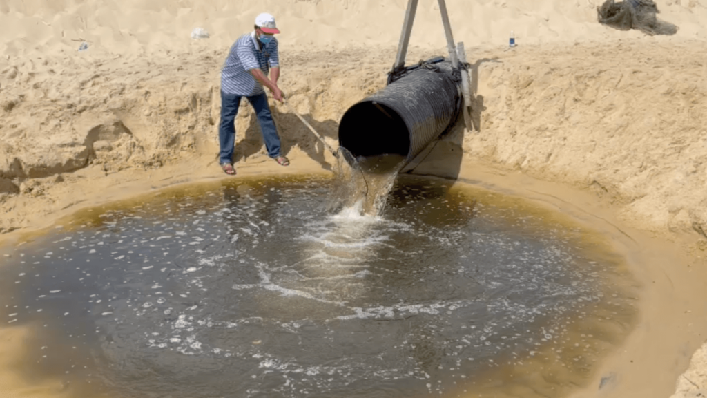 Wastewater from shrimp farming