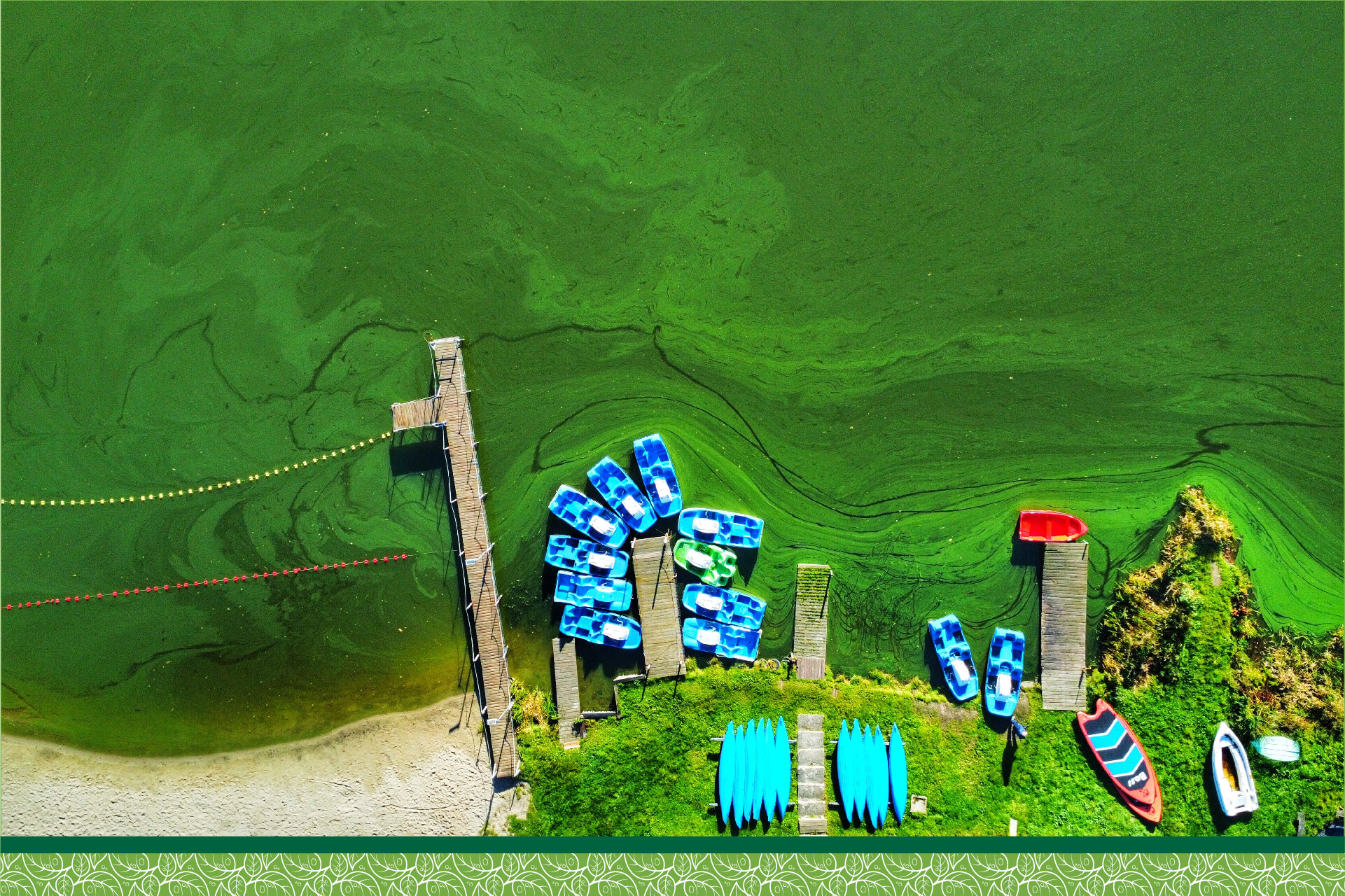 Monitoring Algae (Chlorophyll a) and Cyanobacteria (Phycocyanin BGA-PC) for water treatment plants.