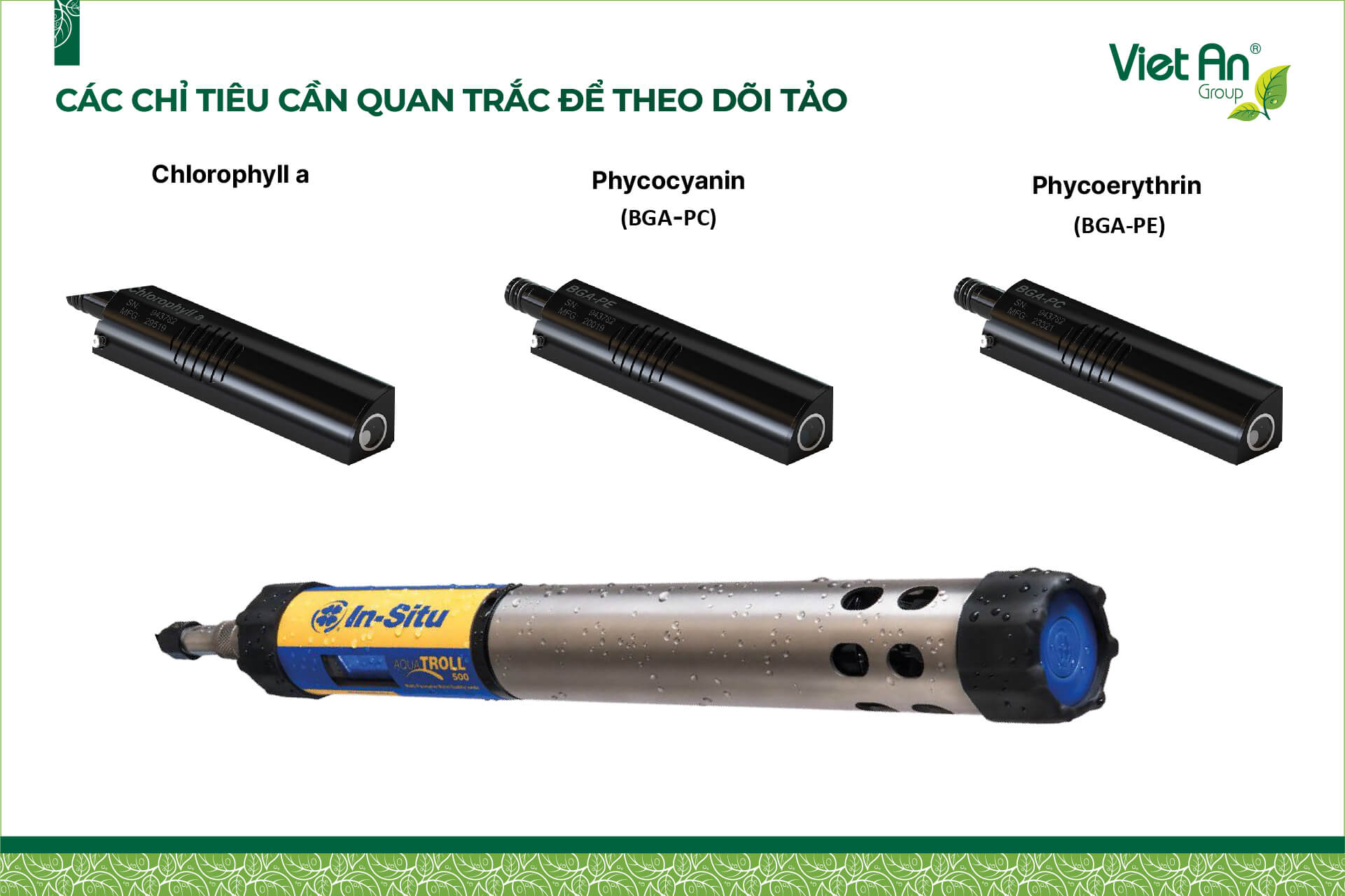 giam-sat-tao-chlorophyll-a-va-tao-lam-phycocyanin-bga-pc