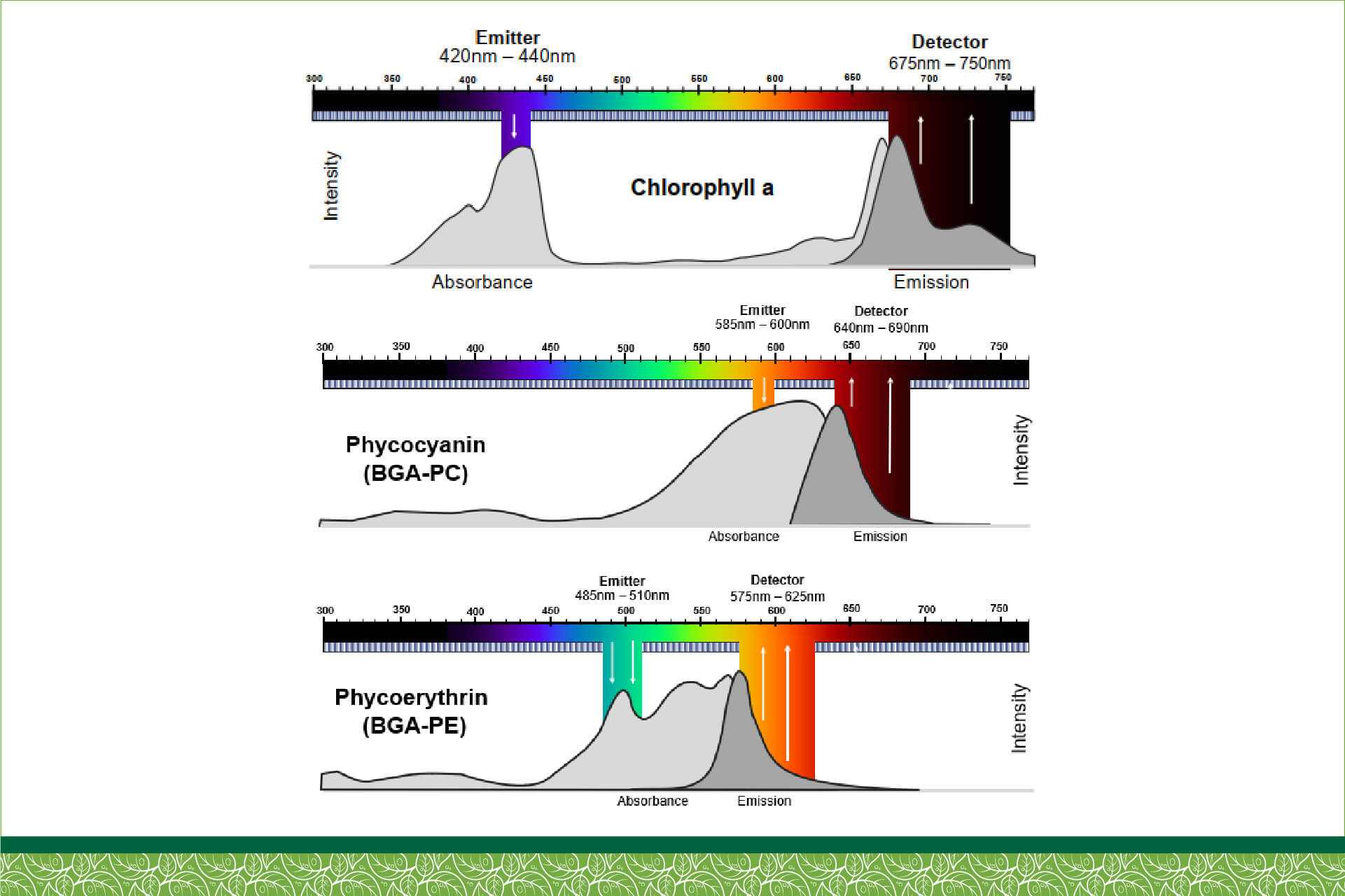 giam-sat-tao-chlorophyll-a-va-tao-lam-phycocyanin-bga-pc