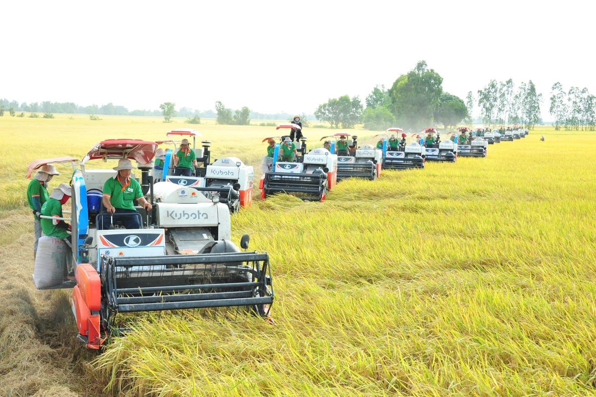 5 giải pháp chiến lược về KHCN ngành nông nghiệp và môi trường