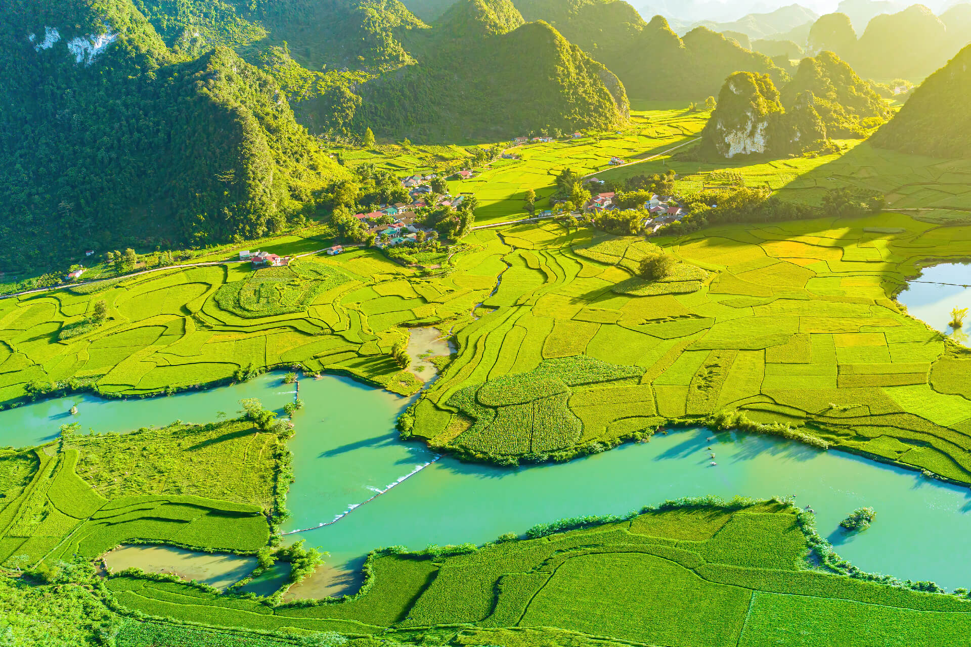 net-zero-viet-nam